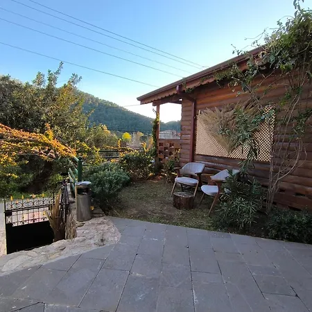 Pasa * Marmaris